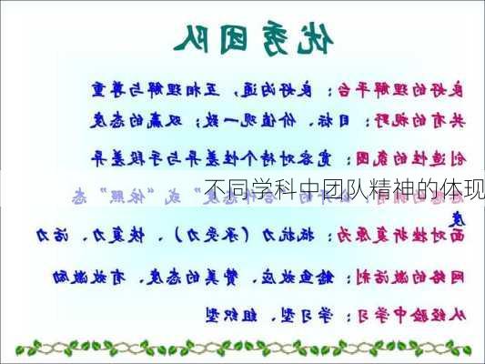 不同学科中团队精神的体现