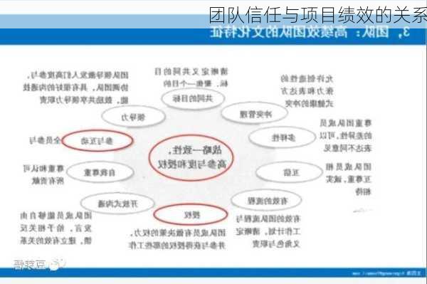 团队信任与项目绩效的关系
