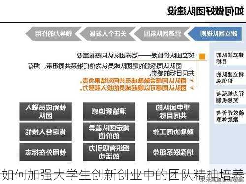 如何加强大学生创新创业中的团队精神培养