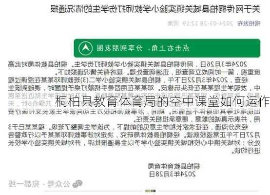 桐柏县教育体育局的空中课堂如何运作
