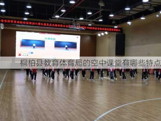 桐柏县教育体育局的空中课堂有哪些特点