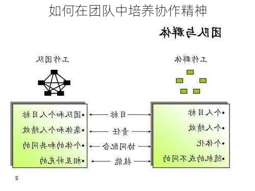 如何在团队中培养协作精神