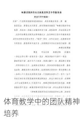 体育教学中的团队精神培养