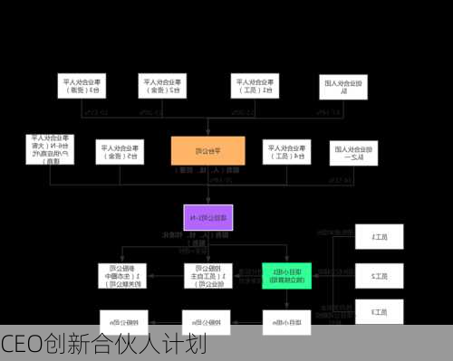 CEO创新合伙人计划