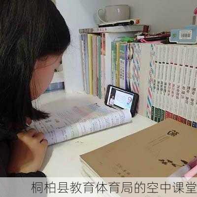 桐柏县教育体育局的空中课堂