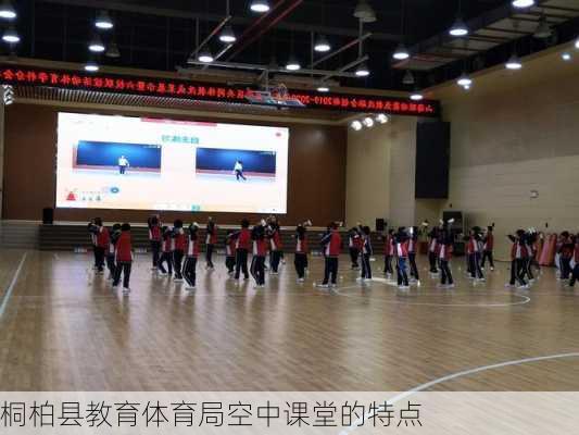 桐柏县教育体育局空中课堂的特点