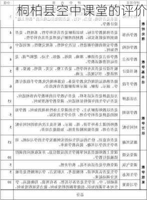 桐柏县空中课堂的评价