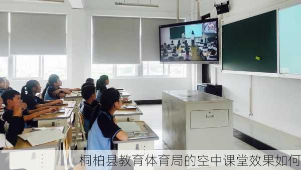 桐柏县教育体育局的空中课堂效果如何