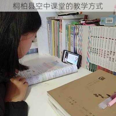 桐柏县空中课堂的教学方式