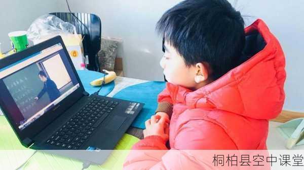 桐柏县空中课堂