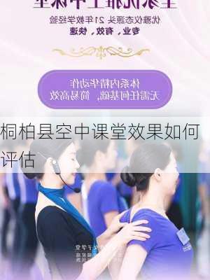 桐柏县空中课堂效果如何评估