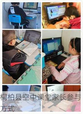 桐柏县空中课堂家长参与方式