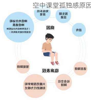 空中课堂孤独感原因