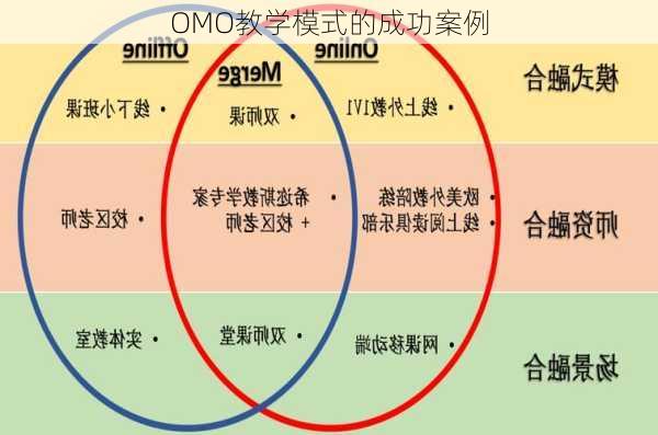OMO教学模式的成功案例