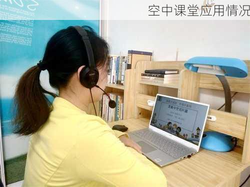 空中课堂应用情况