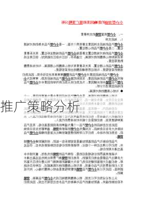 推广策略分析