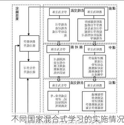 不同国家混合式学习的实施情况