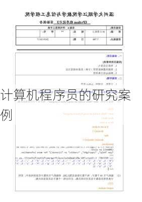 计算机程序员的研究案例