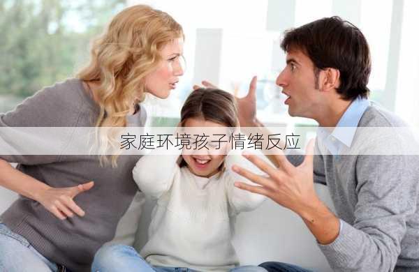 家庭环境孩子情绪反应