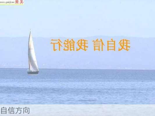 自信方向