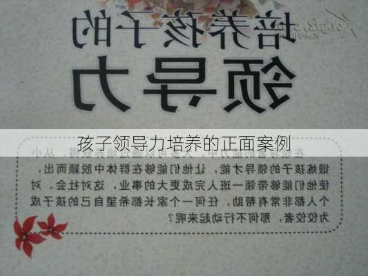 孩子领导力培养的正面案例