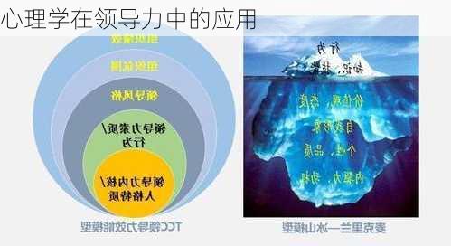 心理学在领导力中的应用