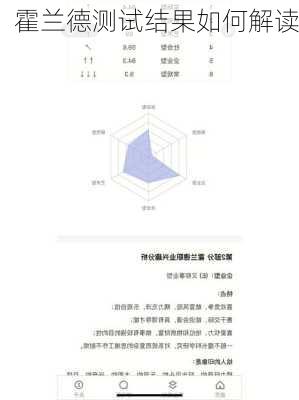 霍兰德测试结果如何解读