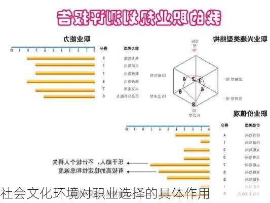 社会文化环境对职业选择的具体作用