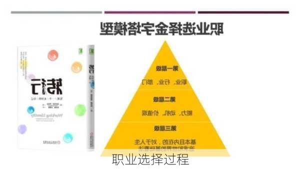 职业选择过程