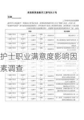 护士职业满意度影响因素调查