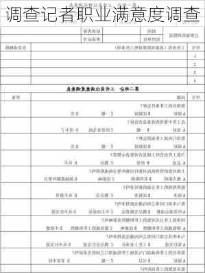 调查记者职业满意度调查