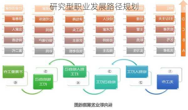 研究型职业发展路径规划