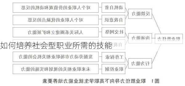 如何培养社会型职业所需的技能