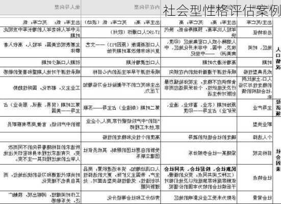社会型性格评估案例