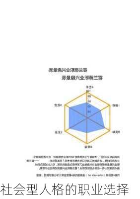 社会型人格的职业选择