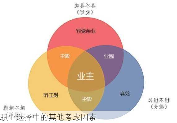 职业选择中的其他考虑因素