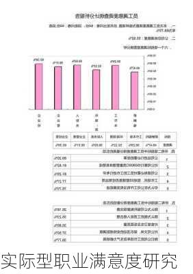实际型职业满意度研究