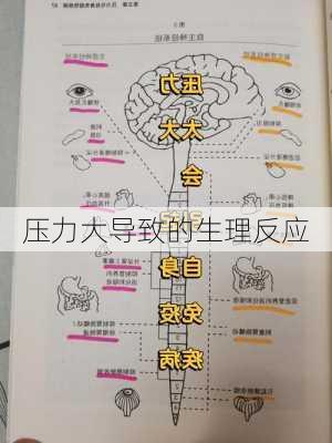 压力大导致的生理反应