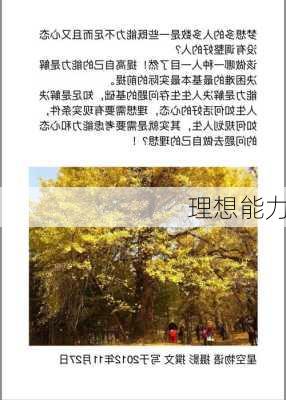 理想能力