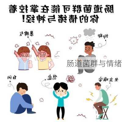 肠道菌群与情绪