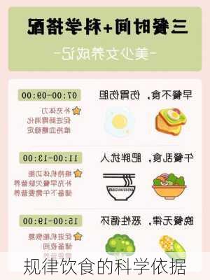 规律饮食的科学依据