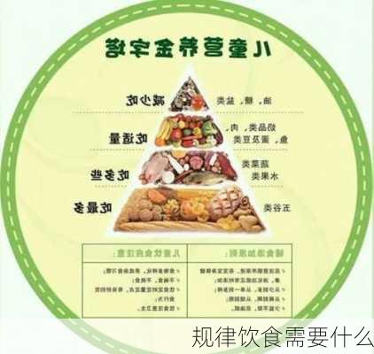 规律饮食需要什么