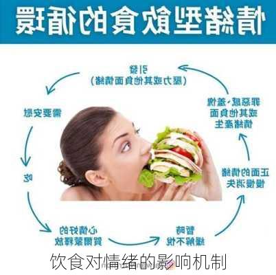 饮食对情绪的影响机制