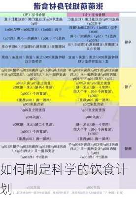 如何制定科学的饮食计划