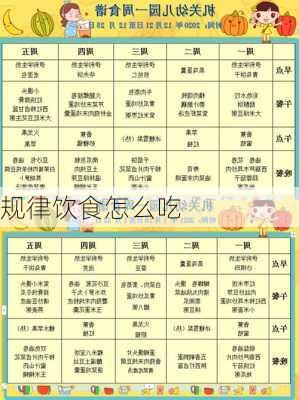 规律饮食怎么吃