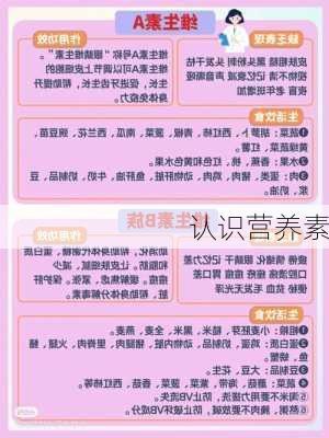 认识营养素