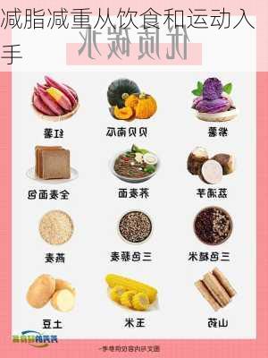 减脂减重从饮食和运动入手