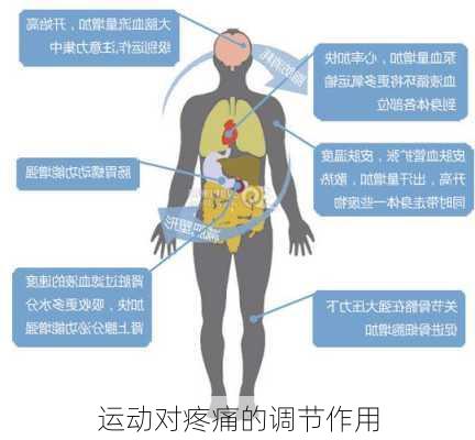 运动对疼痛的调节作用
