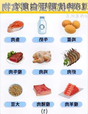 饮食如何帮助肌肉恢复