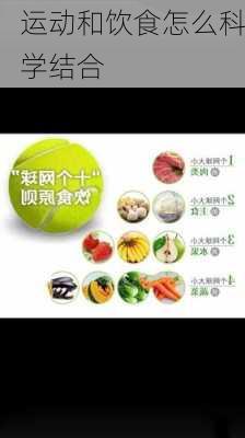 运动和饮食怎么科学结合
